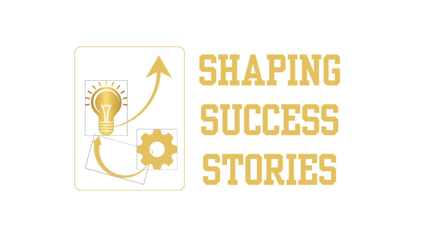 shapingsuccessstories.com